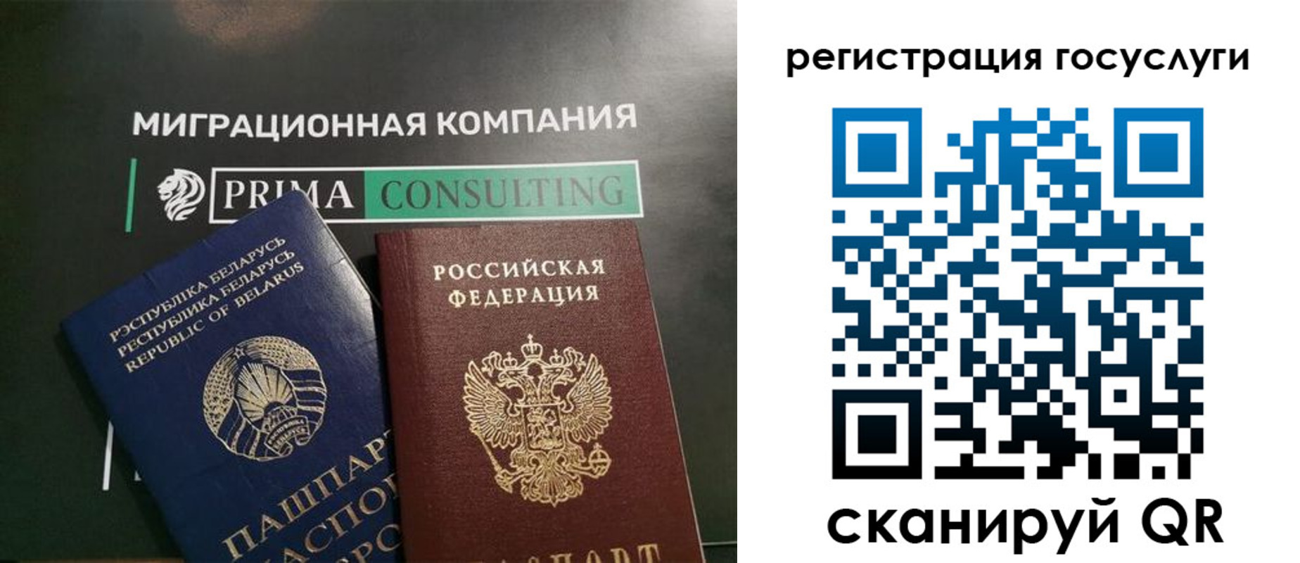 прописка гарантия в Ржеве